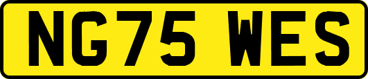 NG75WES