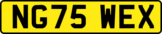 NG75WEX