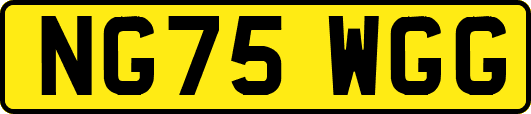 NG75WGG
