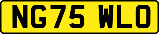 NG75WLO