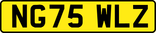NG75WLZ