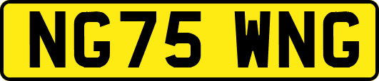 NG75WNG