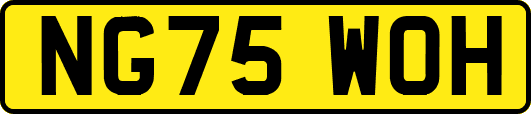 NG75WOH