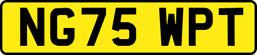 NG75WPT