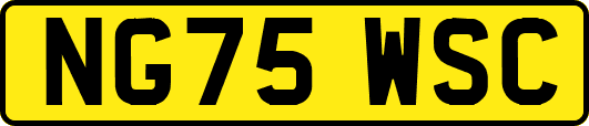 NG75WSC