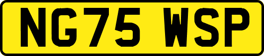 NG75WSP