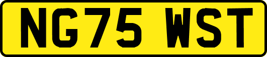NG75WST