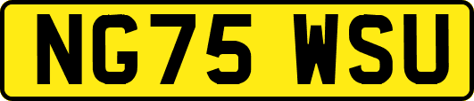 NG75WSU