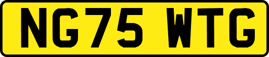 NG75WTG