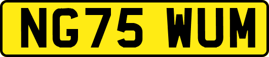 NG75WUM