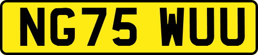 NG75WUU