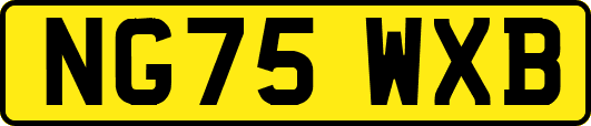 NG75WXB