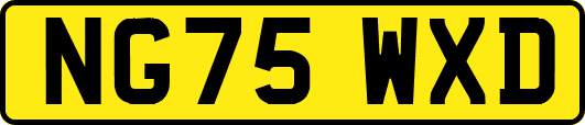 NG75WXD