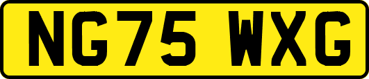 NG75WXG