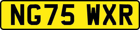 NG75WXR