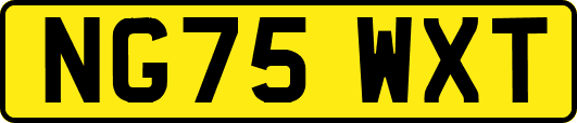NG75WXT