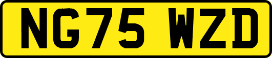NG75WZD