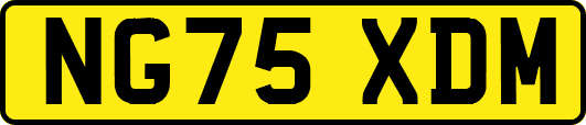 NG75XDM