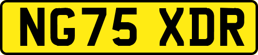 NG75XDR