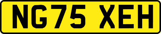 NG75XEH