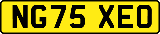 NG75XEO