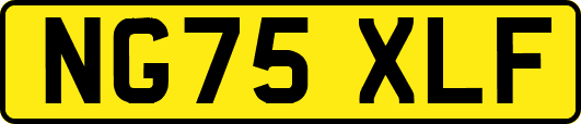 NG75XLF