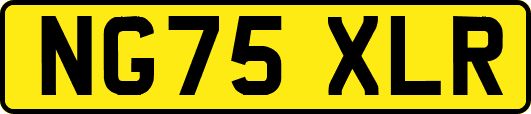 NG75XLR