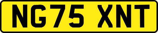 NG75XNT