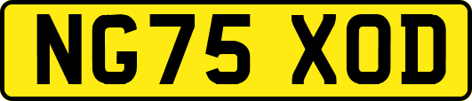 NG75XOD