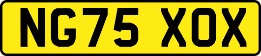 NG75XOX