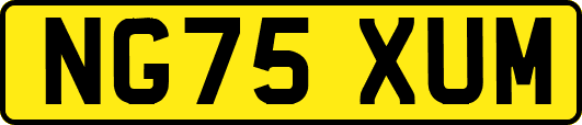 NG75XUM