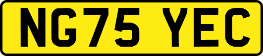 NG75YEC