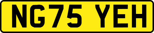 NG75YEH