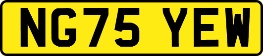 NG75YEW