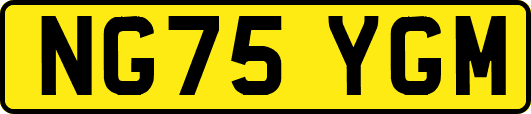 NG75YGM