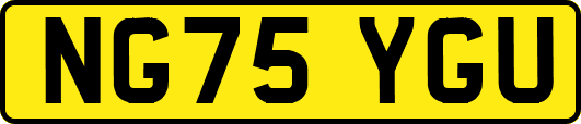 NG75YGU