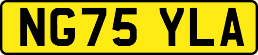 NG75YLA