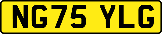 NG75YLG