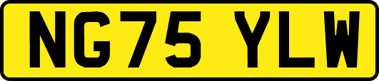 NG75YLW
