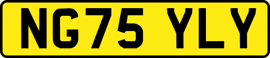 NG75YLY