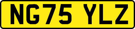 NG75YLZ