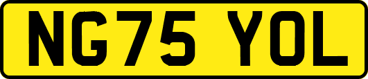 NG75YOL
