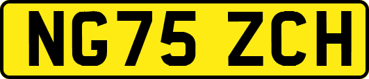 NG75ZCH