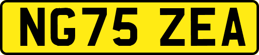 NG75ZEA