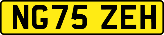 NG75ZEH