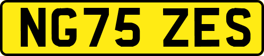 NG75ZES