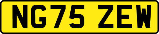 NG75ZEW