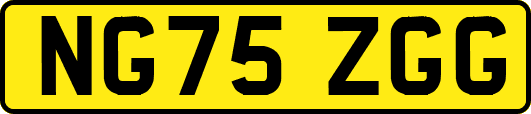NG75ZGG