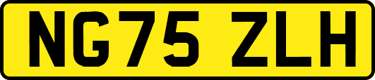 NG75ZLH