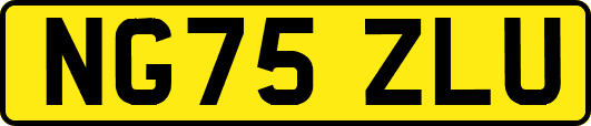 NG75ZLU